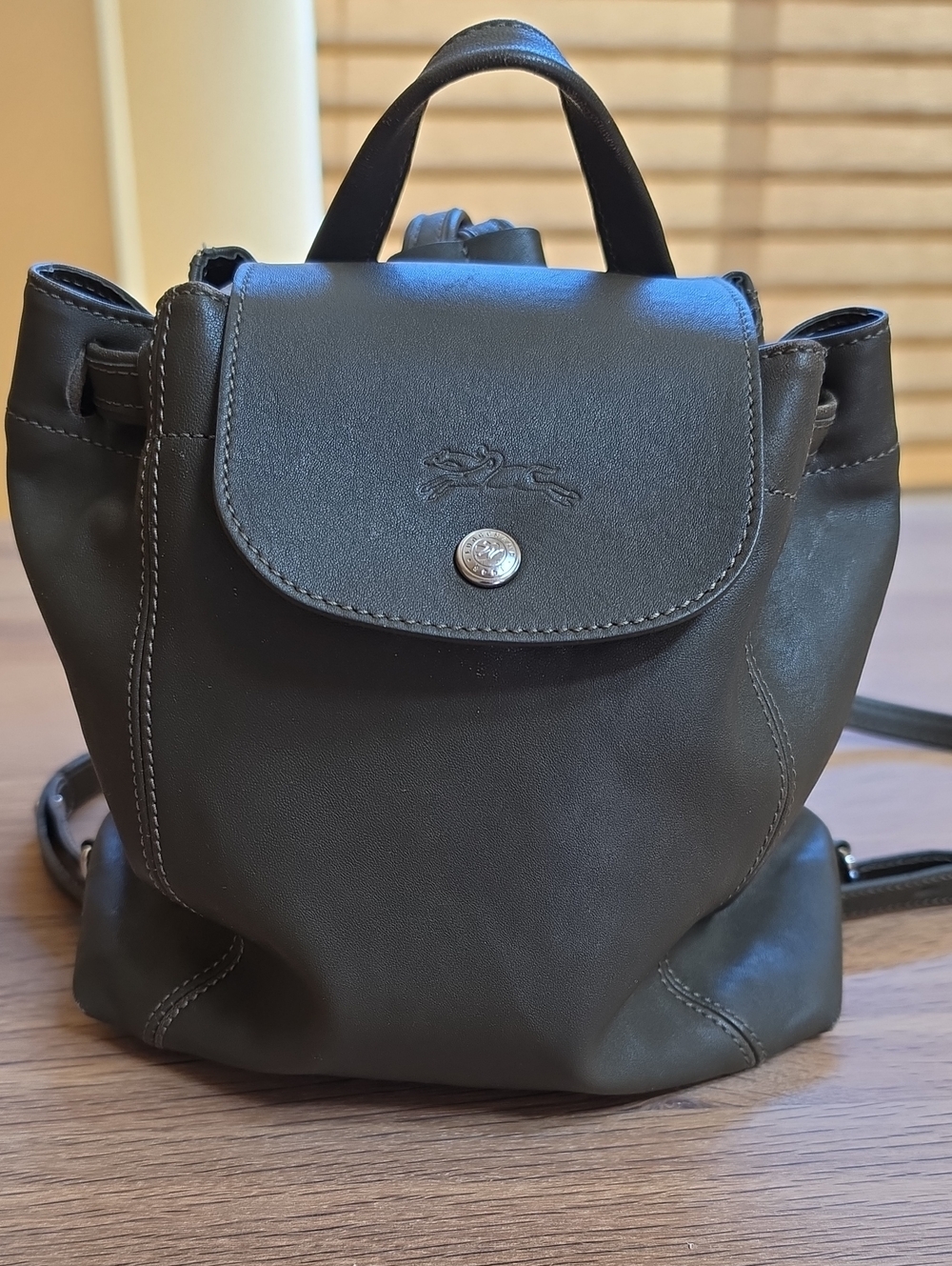 Longchamp Small Leather Backpack in Olive Green